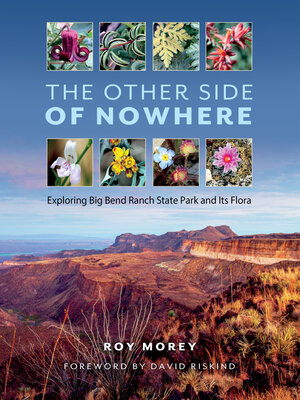 cover image of The Other Side of Nowhere